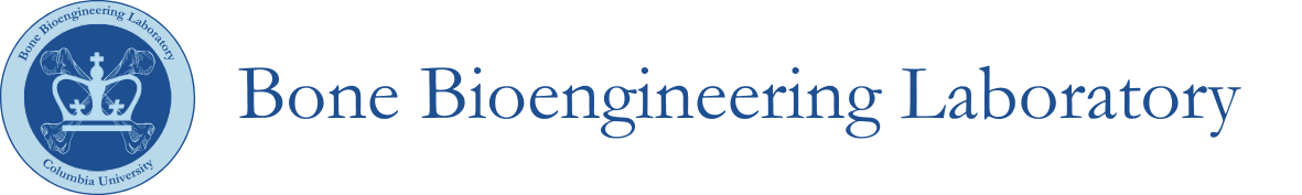 Bone Bioengineering Laboratory logo